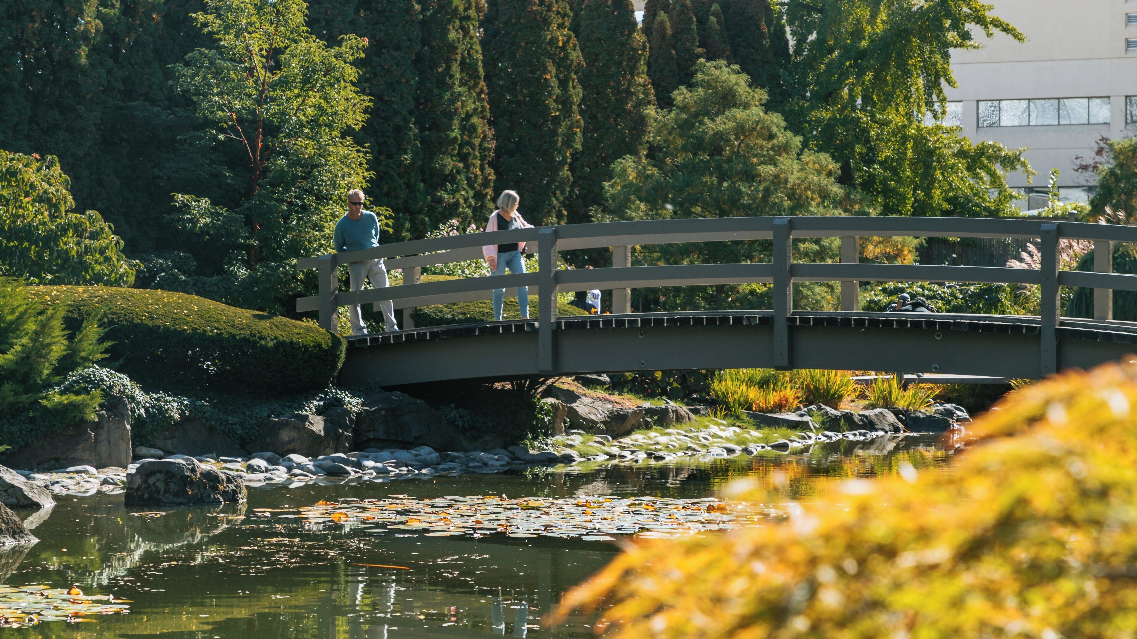 Serenity found in Kasugai Gardens with visitors enjoying a peaceful day in Kelowna's Central Business District in British Columbia, Canada
