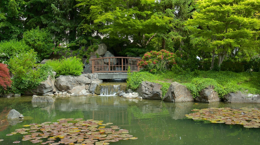 Jardin japonais de Kasugai montrant pont, fleurs sauvages et jardin
