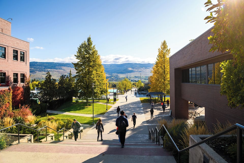 A campus pathway with people walking, surrounded by trees and buildings.