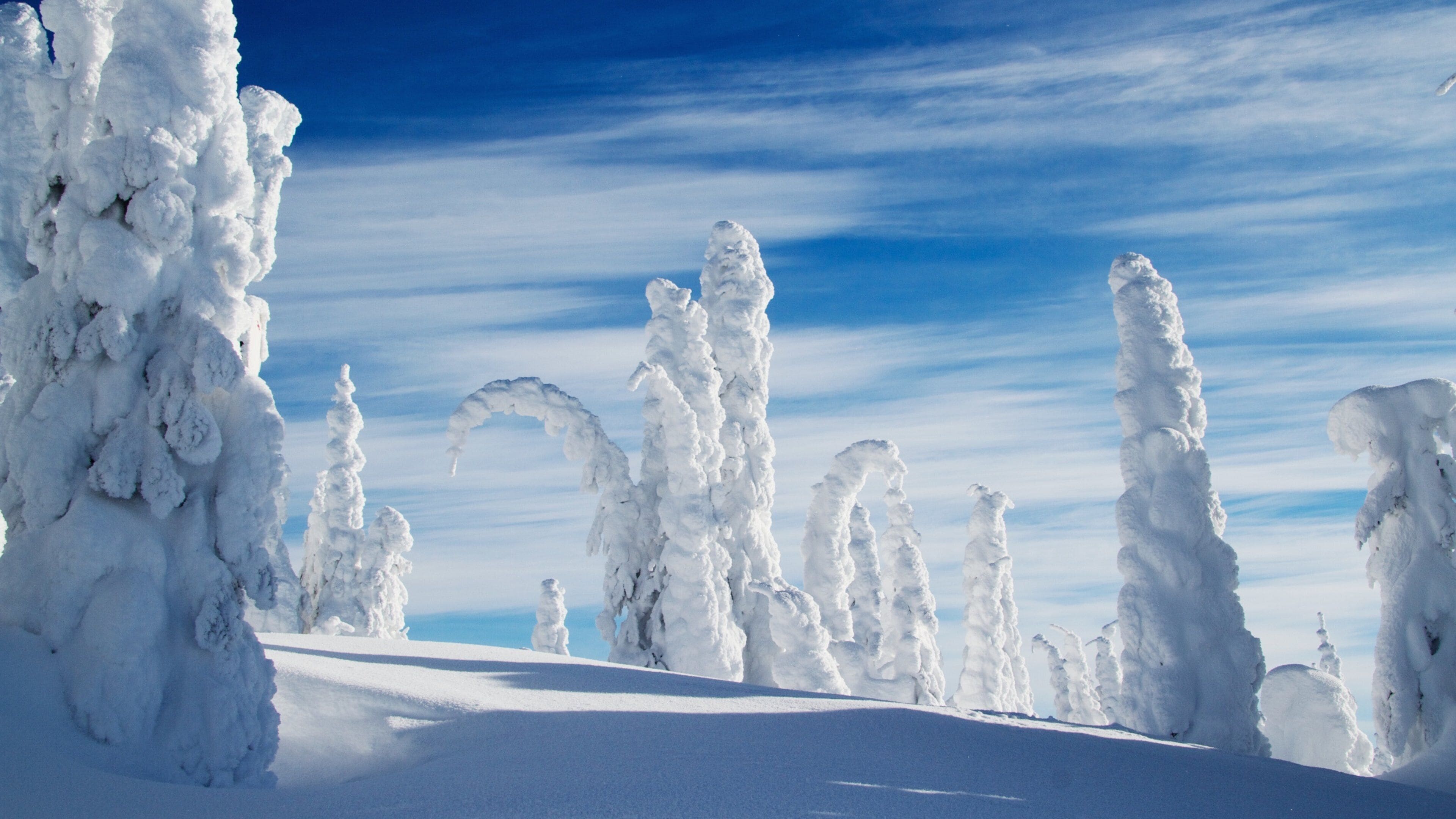 A snowy landscape with snow-covered trees and a clear blue sky.