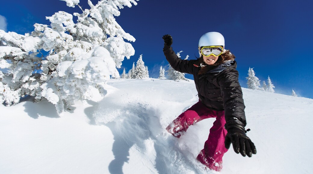 Silver Star Ski Resort showing snow and snow boarding as well as an individual femail