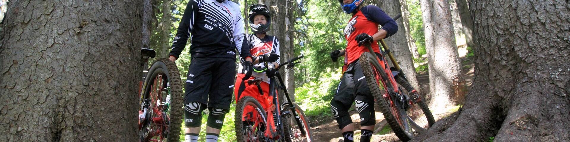 Silver Star Ski Resort featuring forests and mountain biking as well as a small group of people