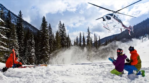 Station de ski de Silver Star qui includes avion et neige aussi bien que petit groupe de personnes