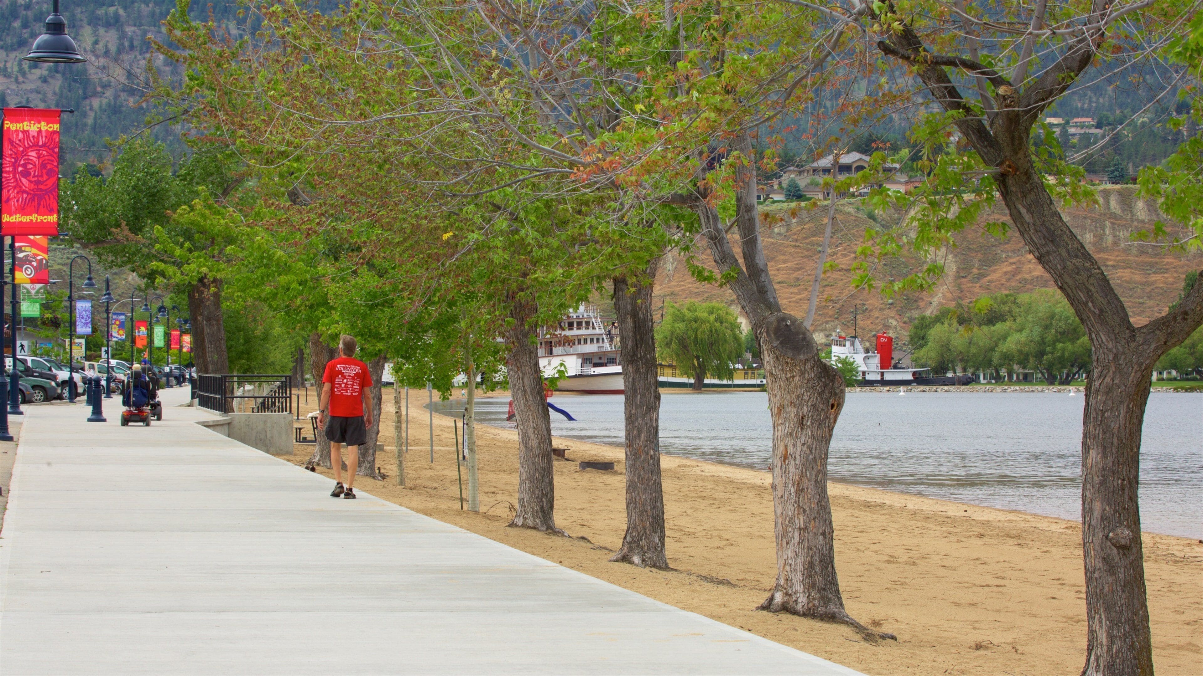 Naramata Bench showing a lake or waterhole