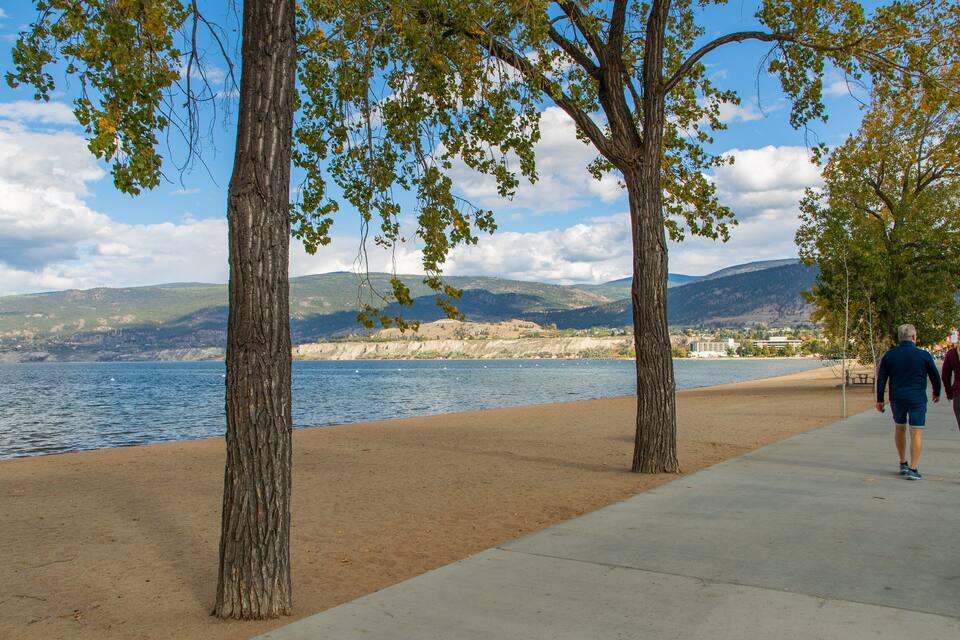 A lakeside walkway with trees and a view of mountains in the background.