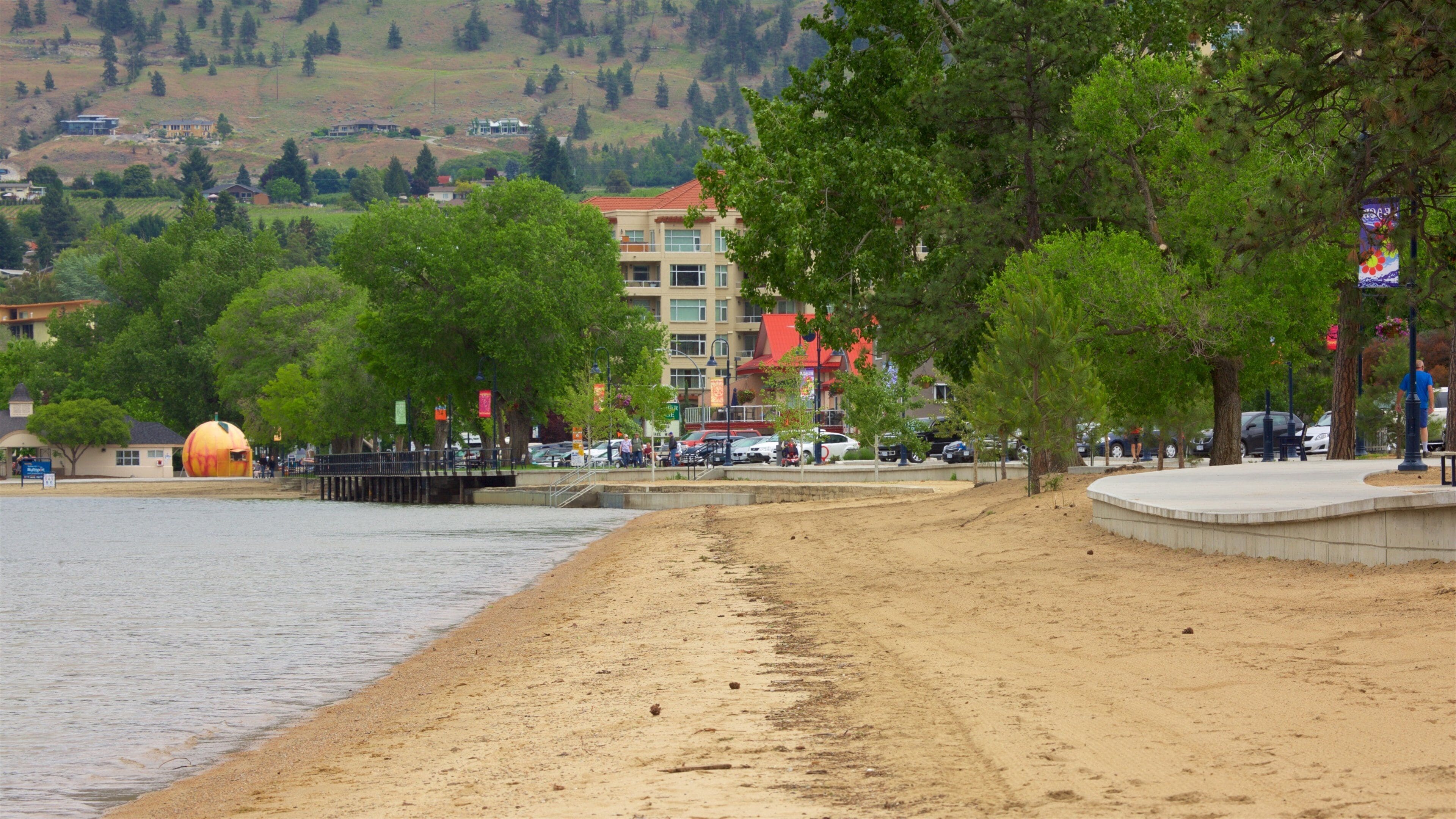 Naramata Bench showing a coastal town and a beach
