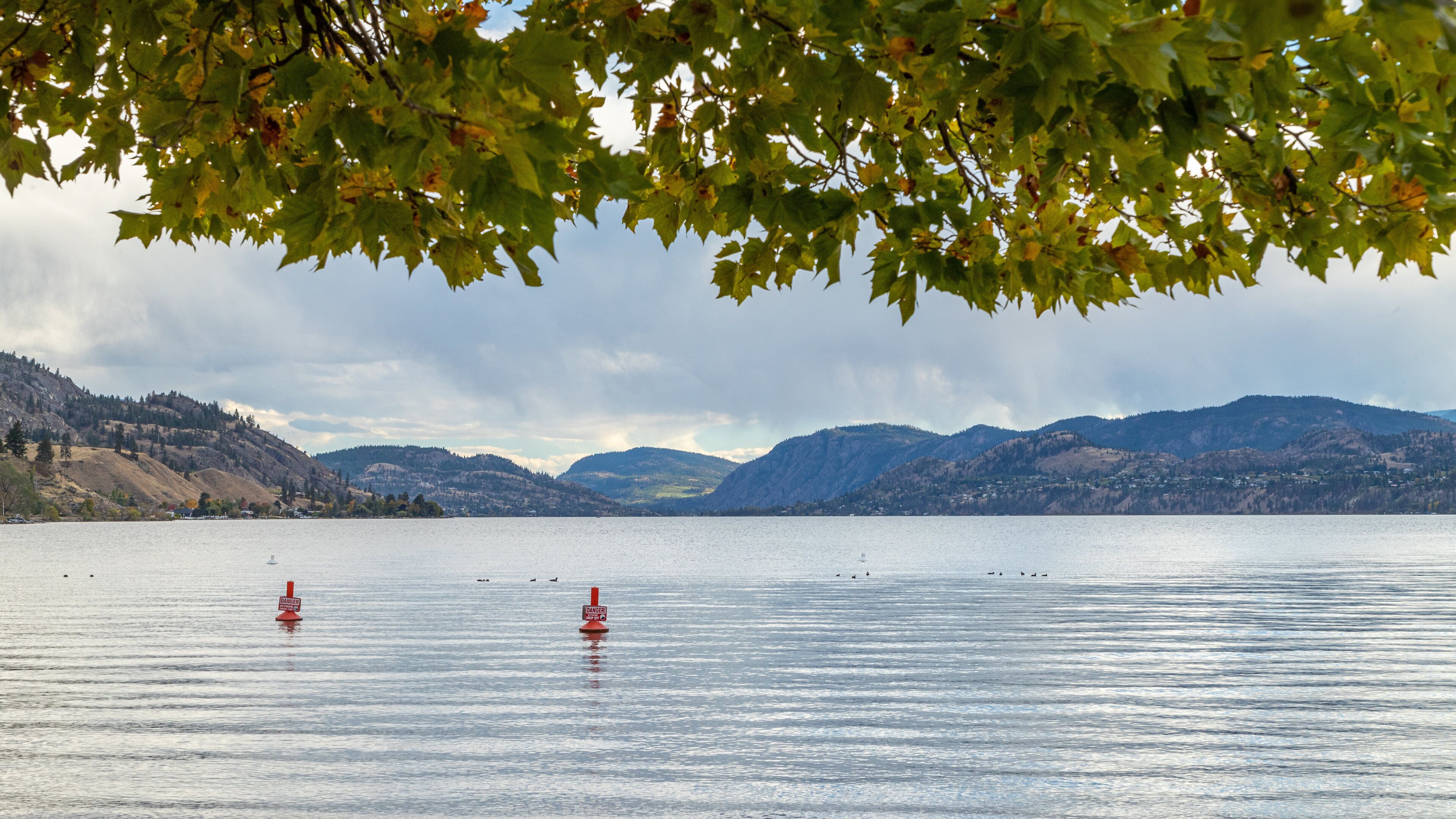 Skaha Beach which includes a lake or waterhole