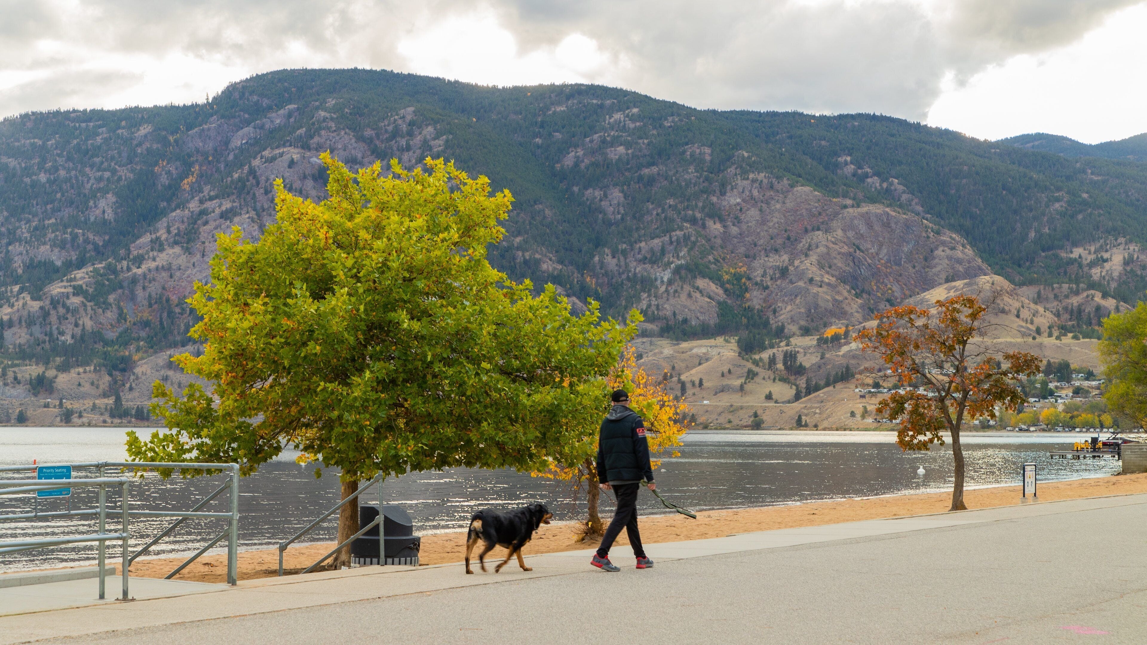 Skaha Beach showing cuddly or friendly animals and general coastal views as well as an individual male