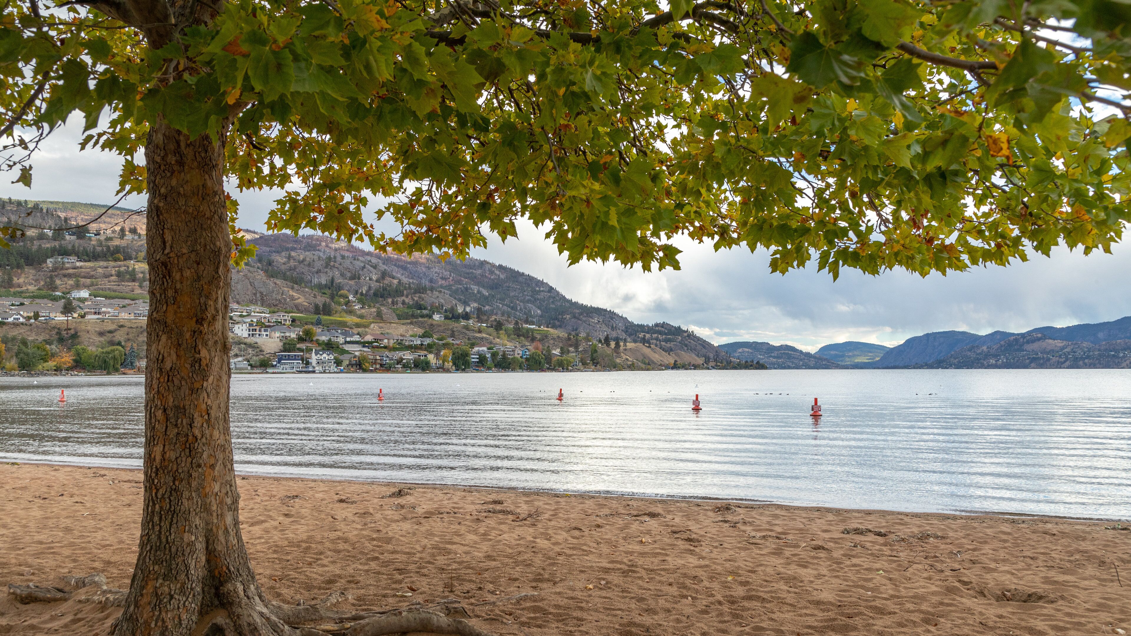 Skaha Beach showing a sandy beach and general coastal views