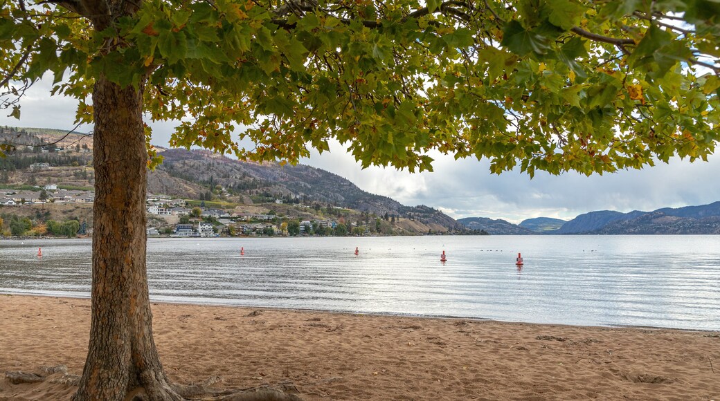 Skaha Beach showing a sandy beach and general coastal views