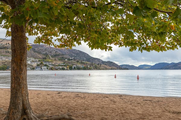 Skaha Beach showing a sandy beach and general coastal views