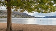 Skaha Beach showing a sandy beach and general coastal views