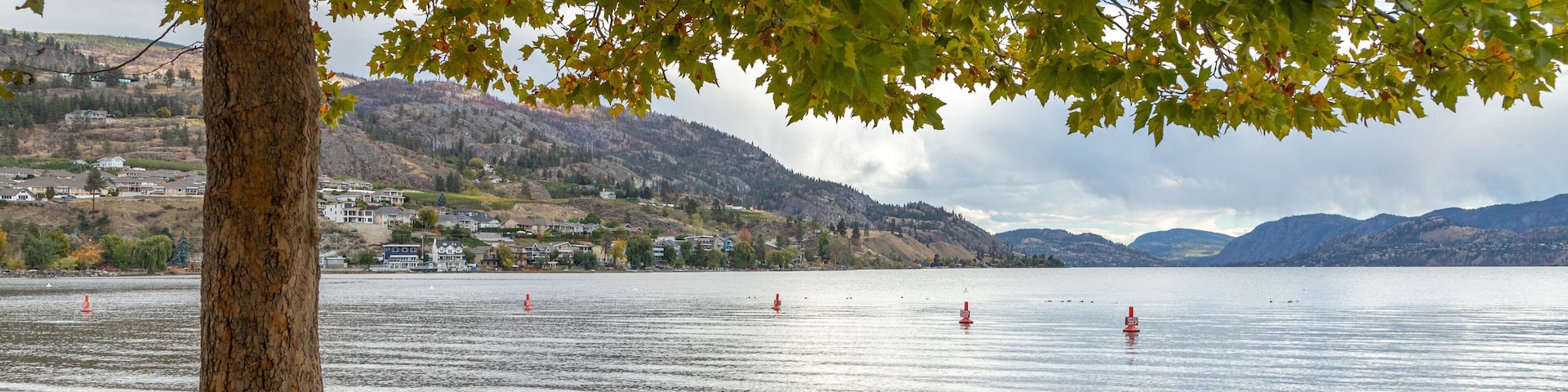 Skaha Beach showing a sandy beach and general coastal views