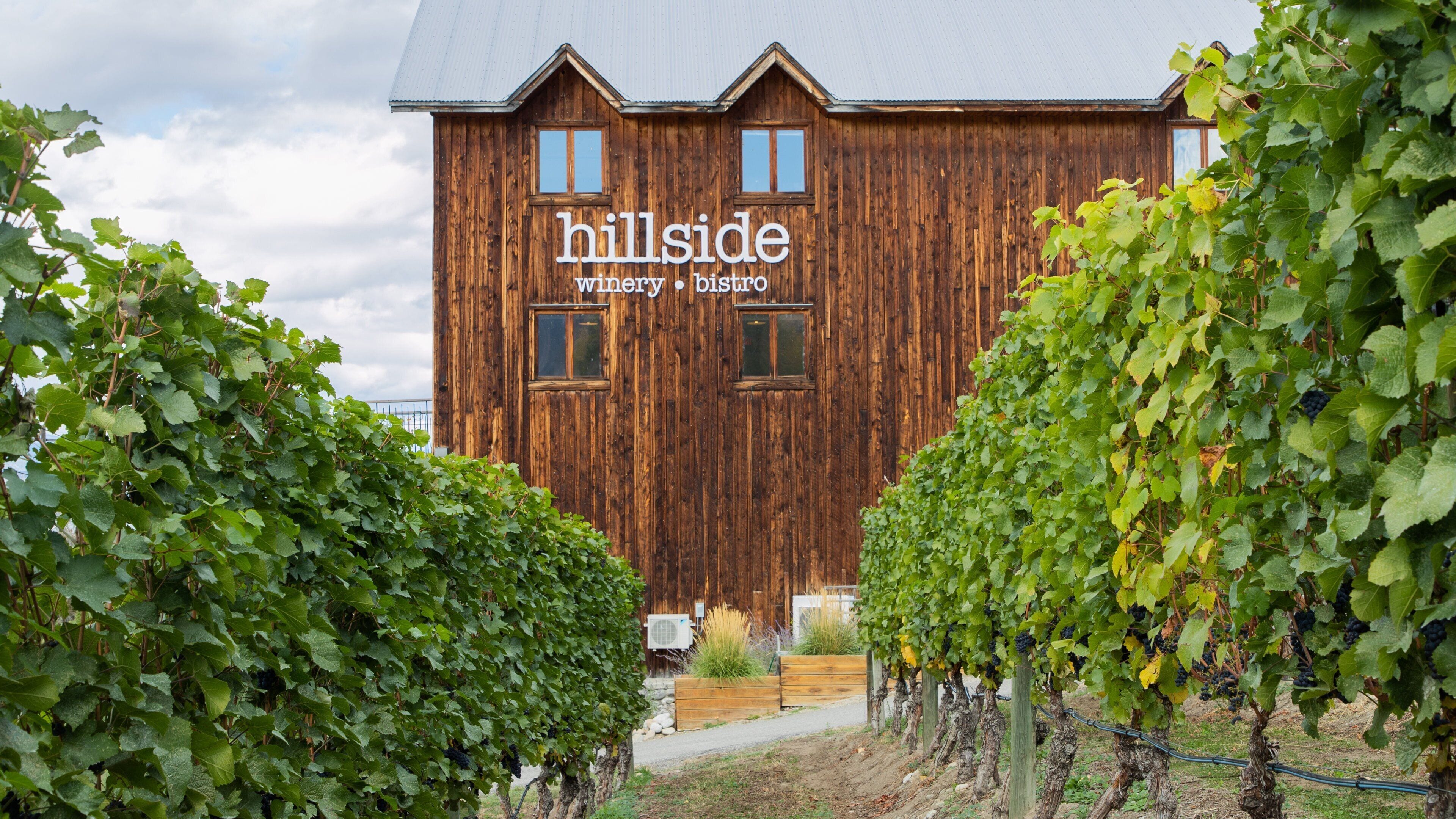 Hillside Estate Winery showing farmland and signage