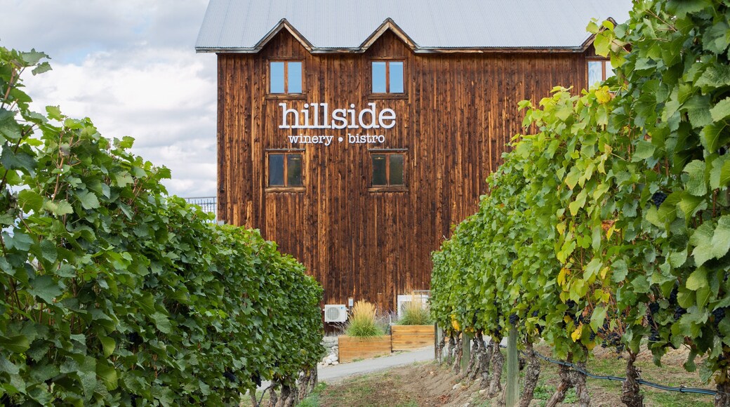 Hillside Estate Winery showing farmland and signage