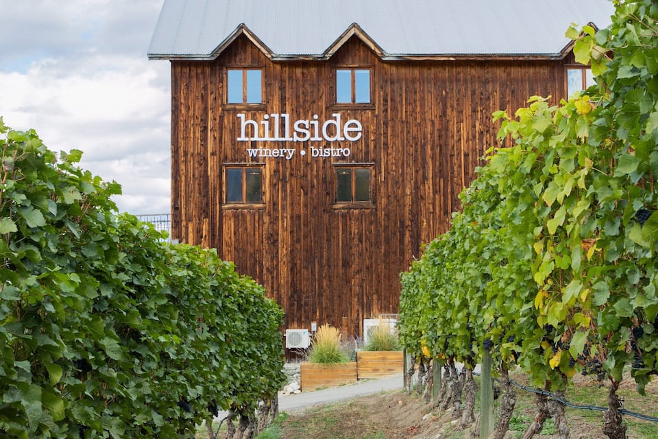 A wooden building labeled "hillside winery . bistro" surrounded by grapevines.