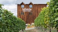 Un bâtiment en bois portant l’inscription « domaine viticole sur la colline et bistro », entouré de vignes.