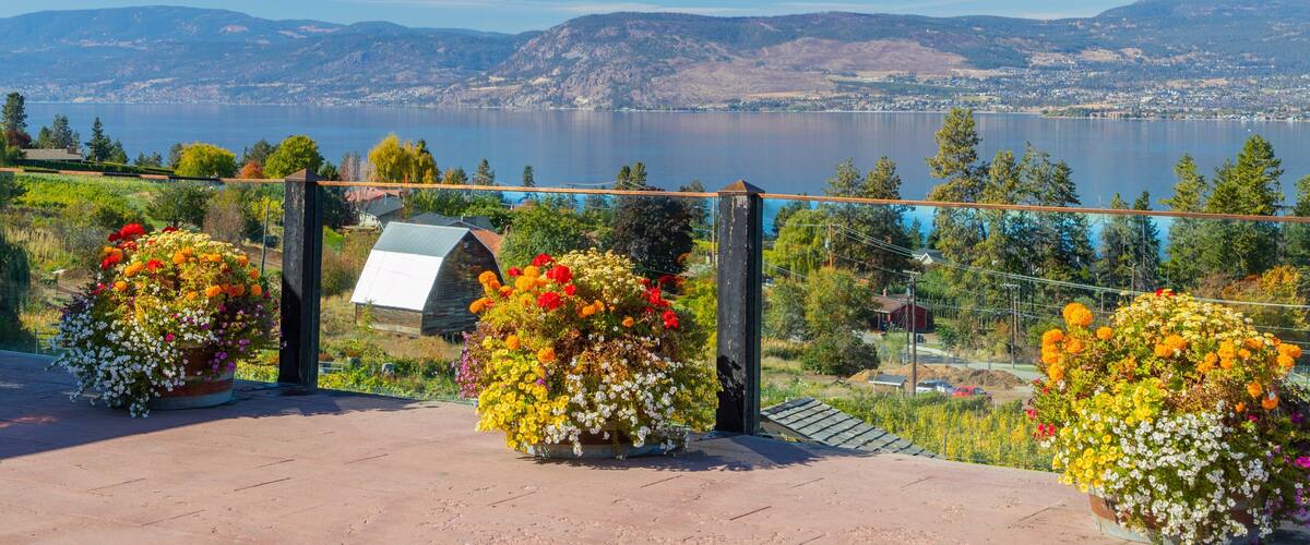 Summerhill Pyramid Winery featuring views, wildflowers and a lake or waterhole
