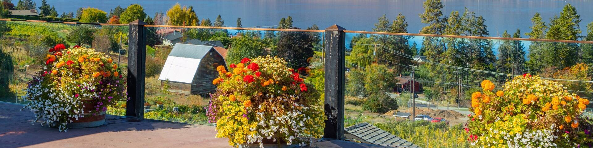 Summerhill Pyramid Winery featuring views, wildflowers and a lake or waterhole