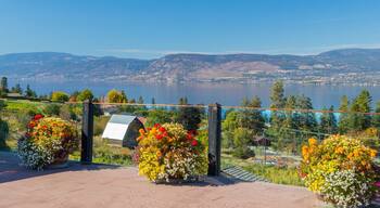 Summerhill Pyramid Winery featuring views, wildflowers and a lake or waterhole