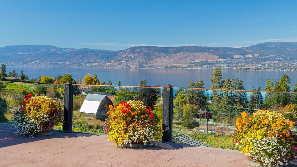 A scenic overlook with a lake, mountains, and colorful flower arrangements.