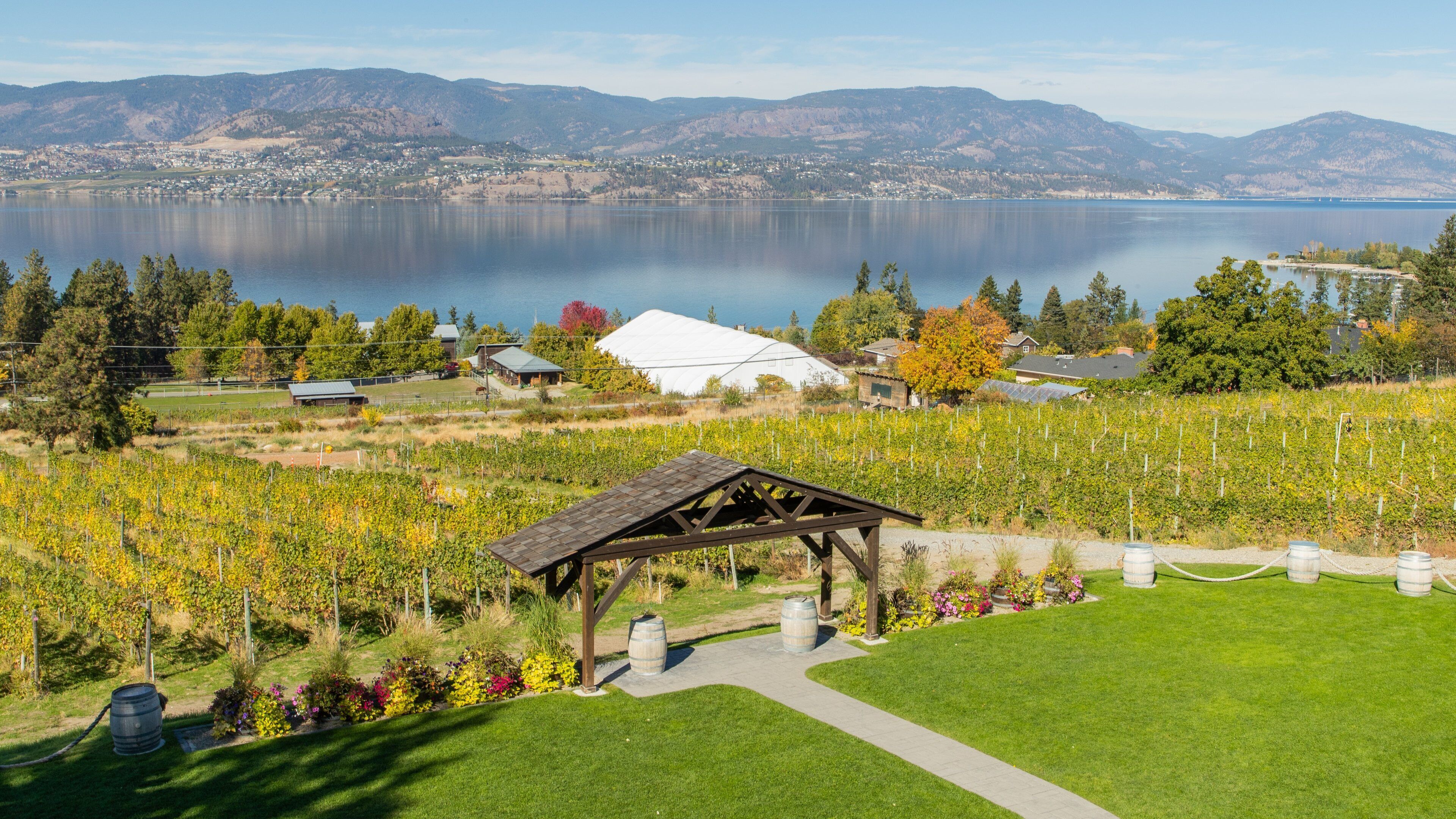 Summerhill Pyramid Winery which includes farmland and a lake or waterhole