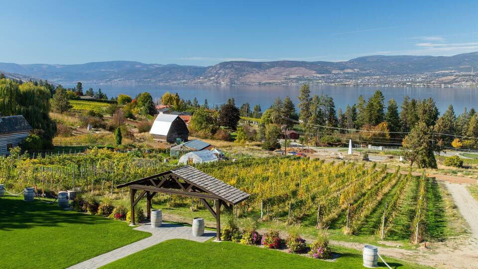 A vineyard with a gazebo, a lake, and a cityscape in the background.