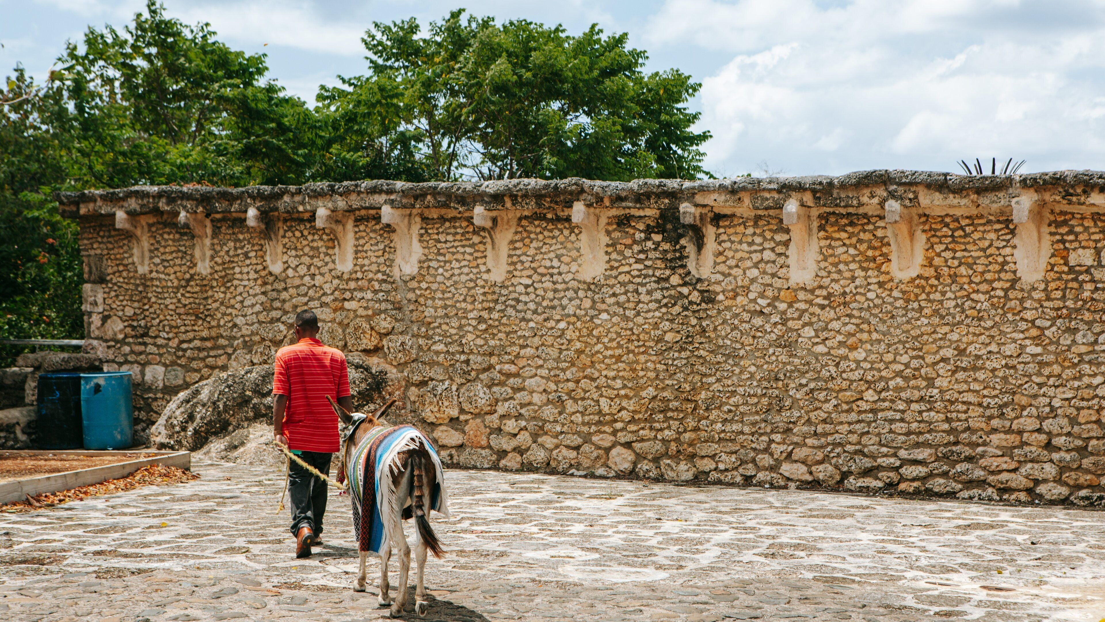 Altos de Chavon Village featuring land animals and street scenes as well as an individual male