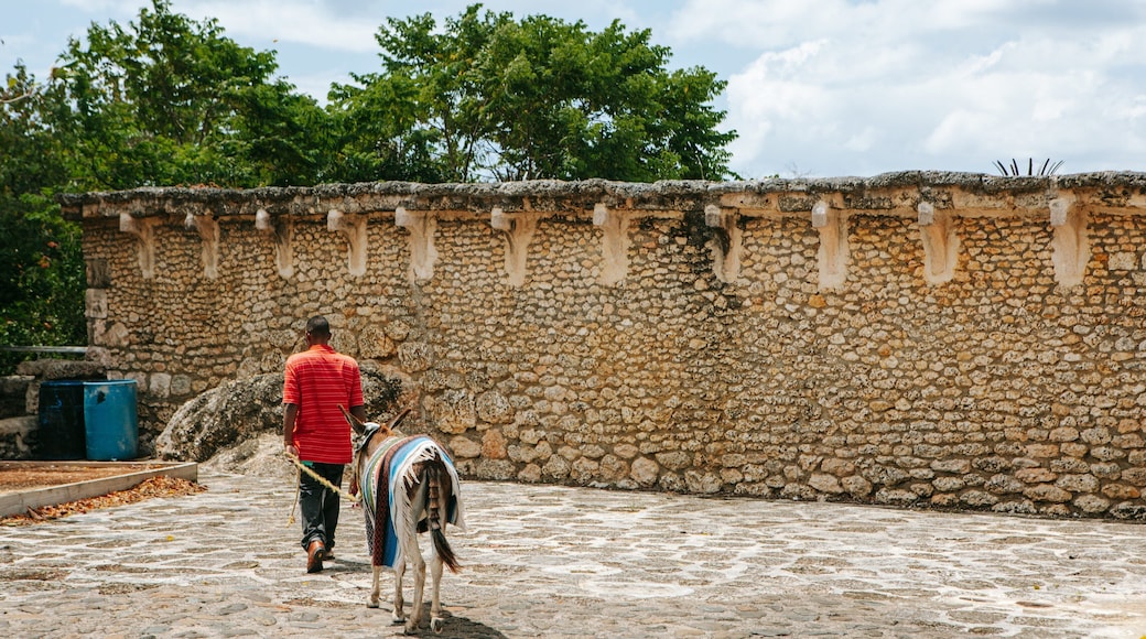 Altos de Chavon Village featuring land animals and street scenes as well as an individual male