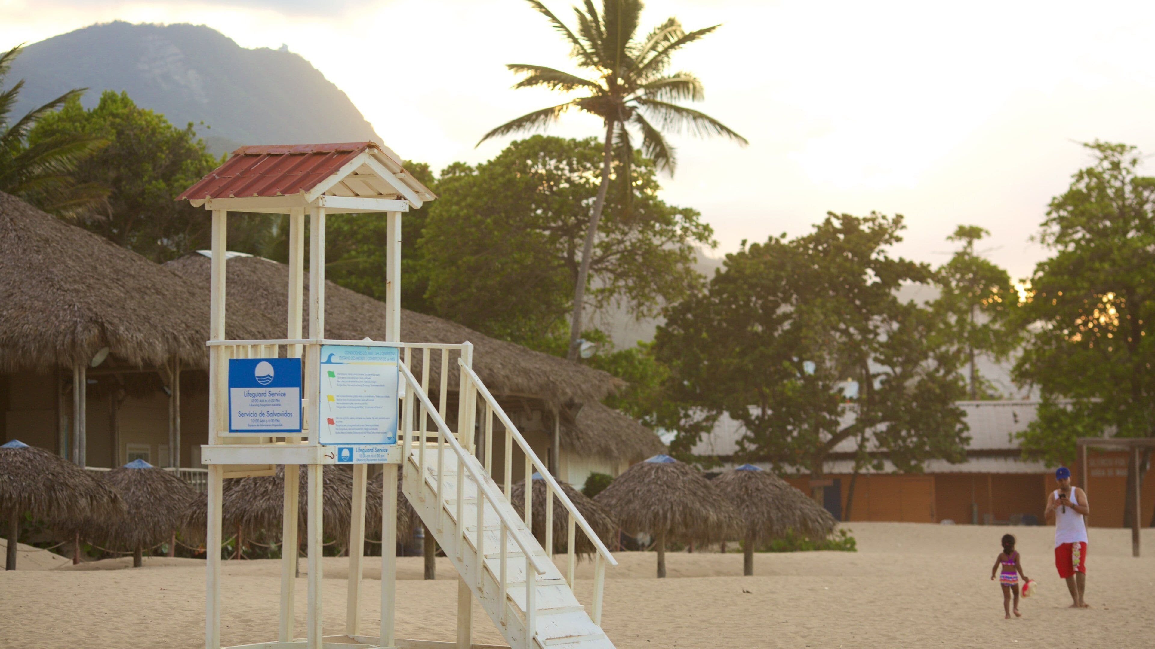 Playa Dorada showing a beach