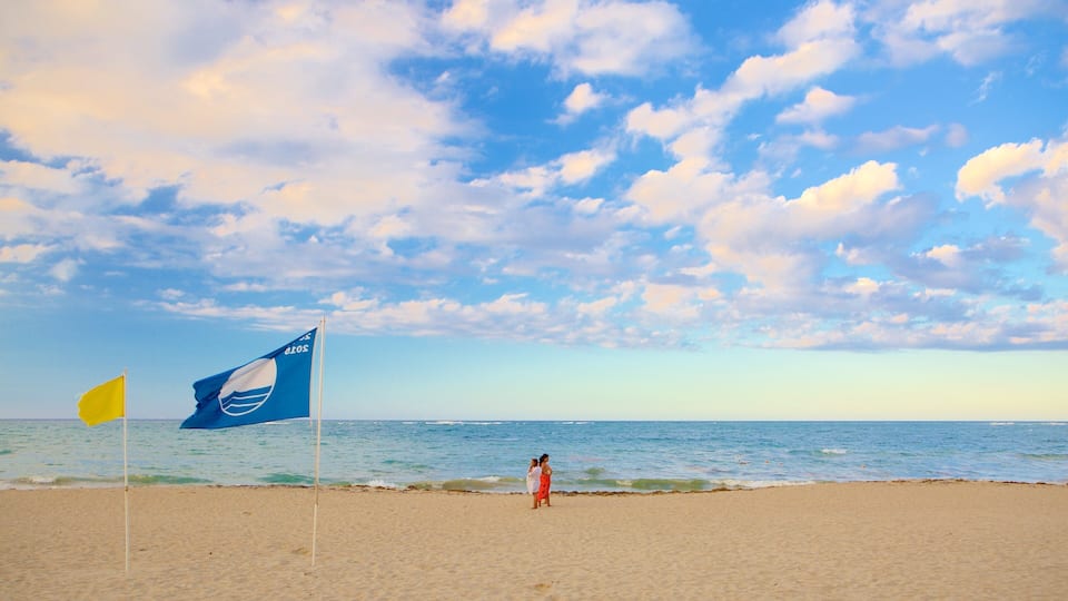 Playa Dorada showing a beach
