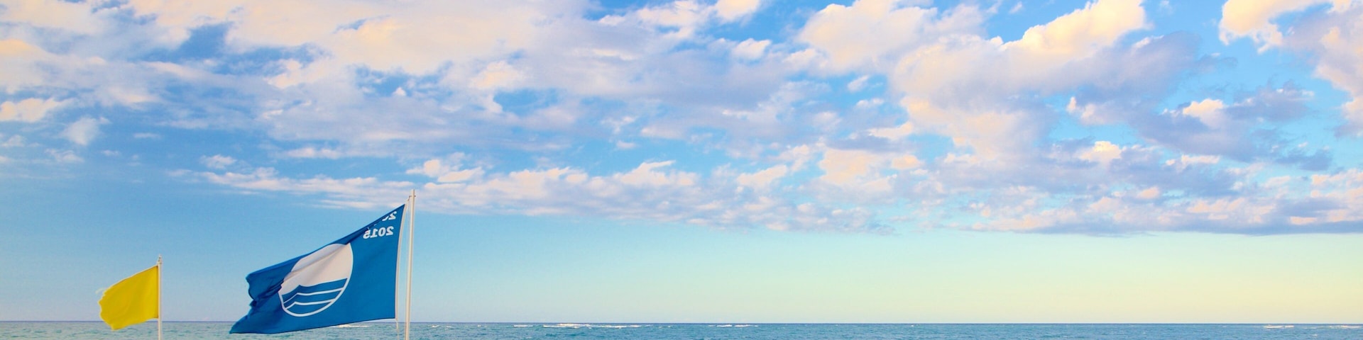 Playa Dorada showing a beach