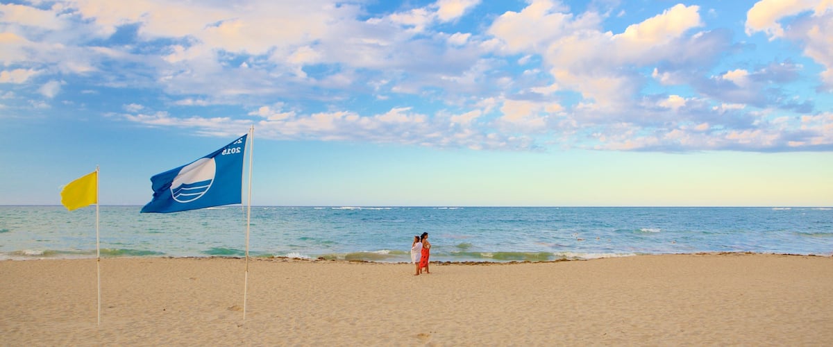 A beach with a blue flag and a yellow flag, and a person in red shorts walking towards the water.