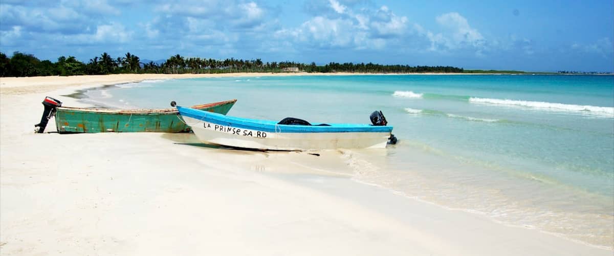Saona Island showing a sandy beach, tropical scenes and landscape views