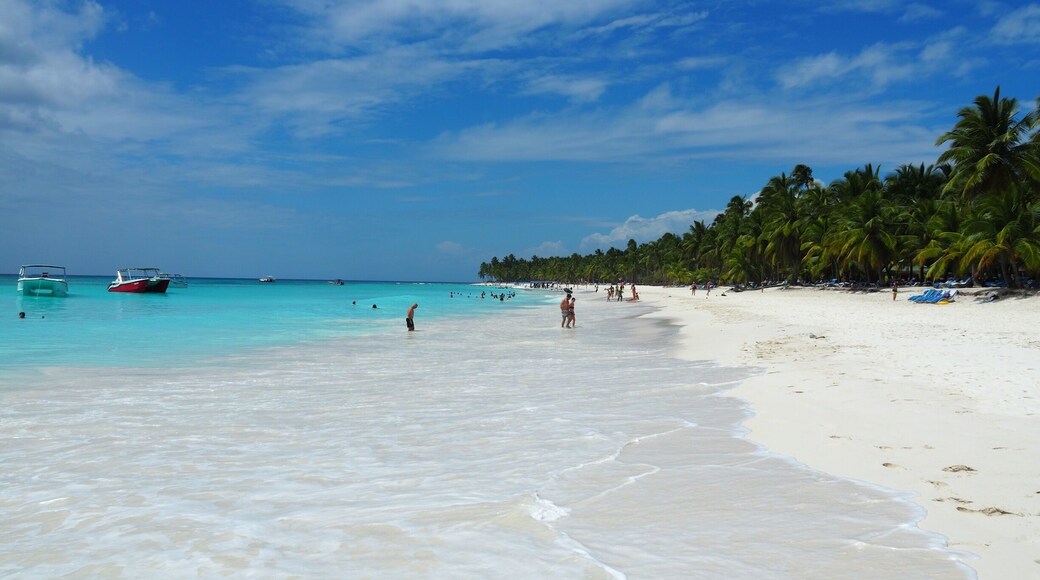 Have just been 14 days in The Dominican Republic🇩🇴and I saw The most beautiful beach on Saona Island.