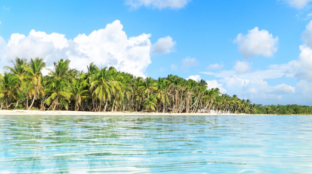 ์ฌ์ค๋ ์์ผ๋๋