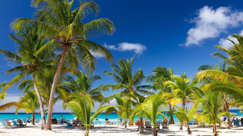 Tropical Beach, Saona Island, Dominican Republic