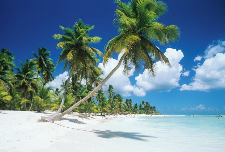 A beach with white sand, palm trees, and clear blue water.