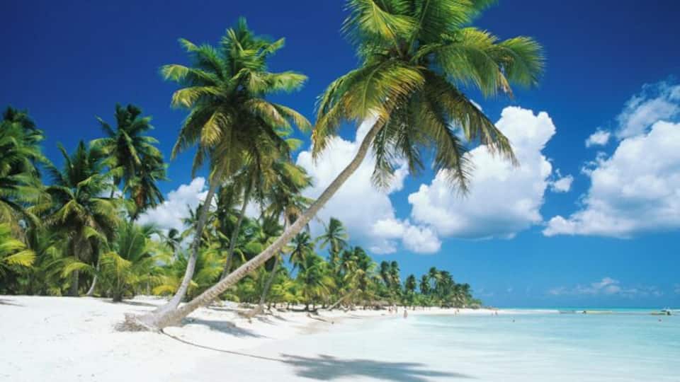A beach with white sand, palm trees, and clear blue water.