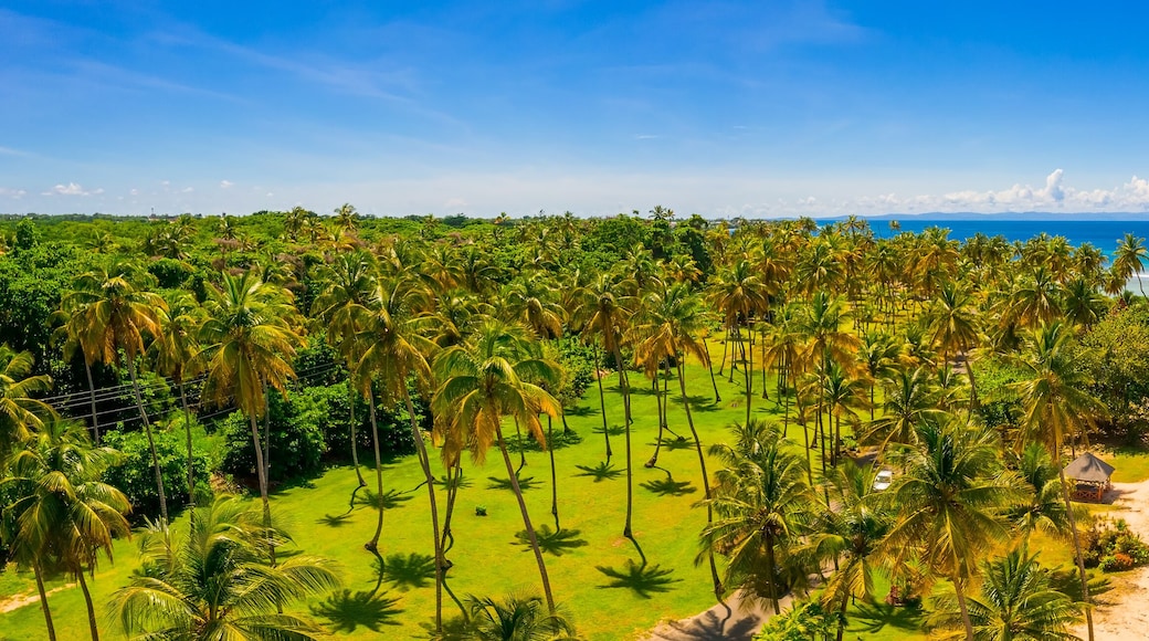 ์ฌ์ค๋ ์์ผ๋๋