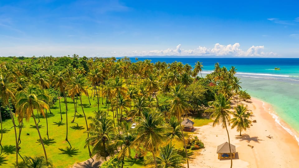 Coconut Palm trees on white sandy beach in Caribbean sea, Saona island. Dominican Republic. Beautiful travel holidays background.