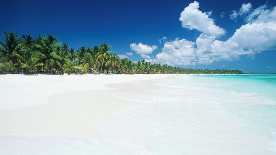 A beach with white sand, turquoise water, and palm trees under a clear blue sky.