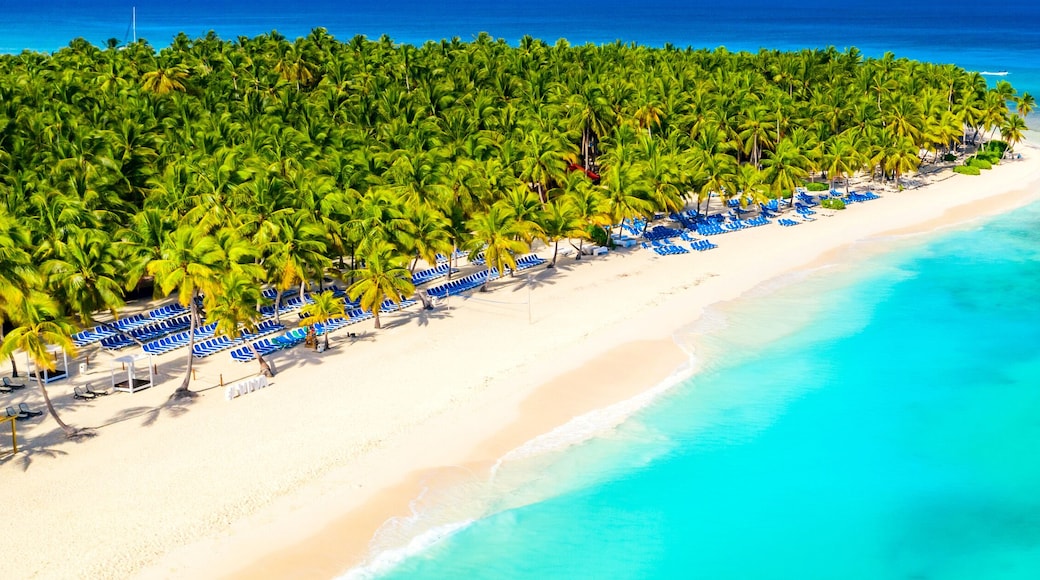 Aerial drone view of beautiful tropical island beach with palms. Vacation background. Banner view