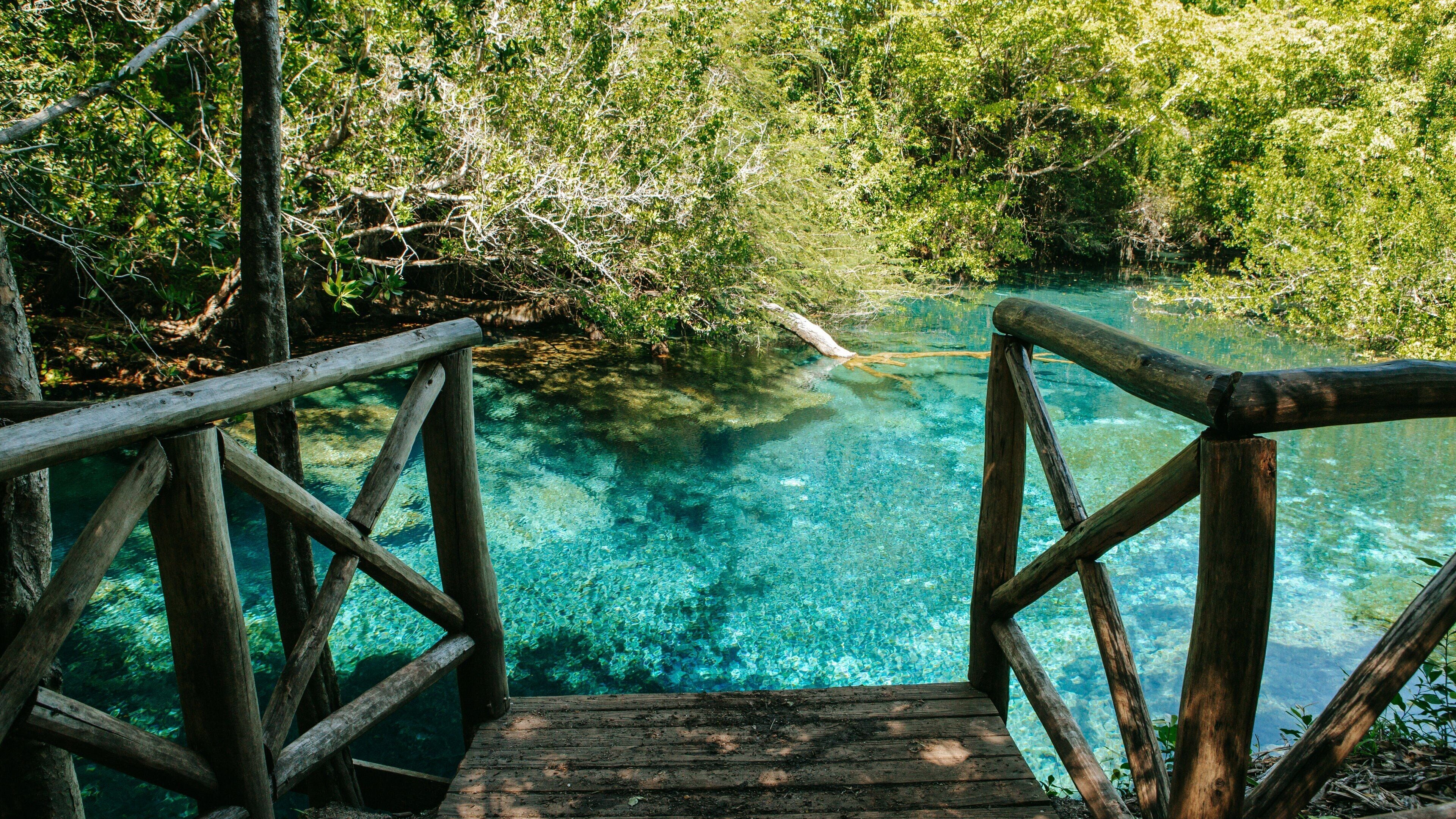 Indigenous Eyes Ecological Park featuring a lake or waterhole