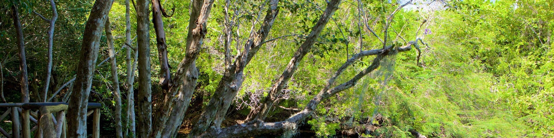 Indigenous Eyes Ecological Park featuring a lake or waterhole and a garden