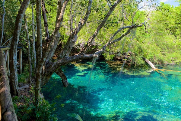 Indigenous Eyes Ecological Park featuring a lake or waterhole and a garden