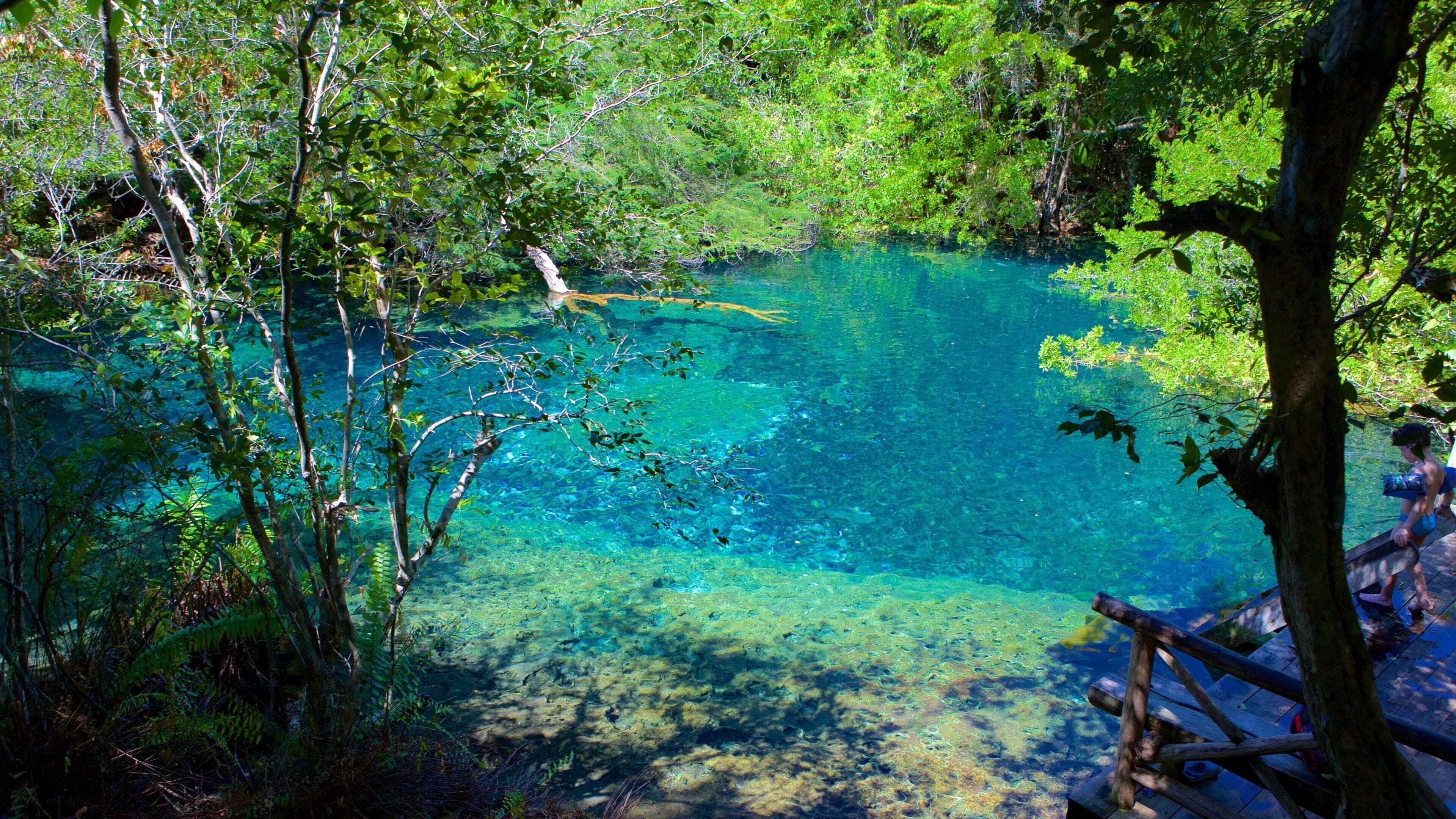 Parque Ecológico Ojos Indígenas ofreciendo un lago o laguna