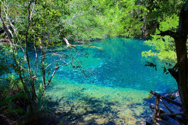 Indigenous Eyes Ecological Park showing a lake or waterhole
