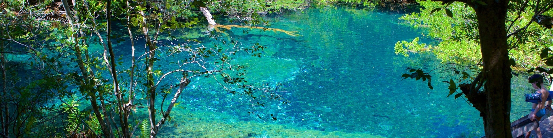 Parque Ecológico Olhos Indígenas mostrando um lago ou charco