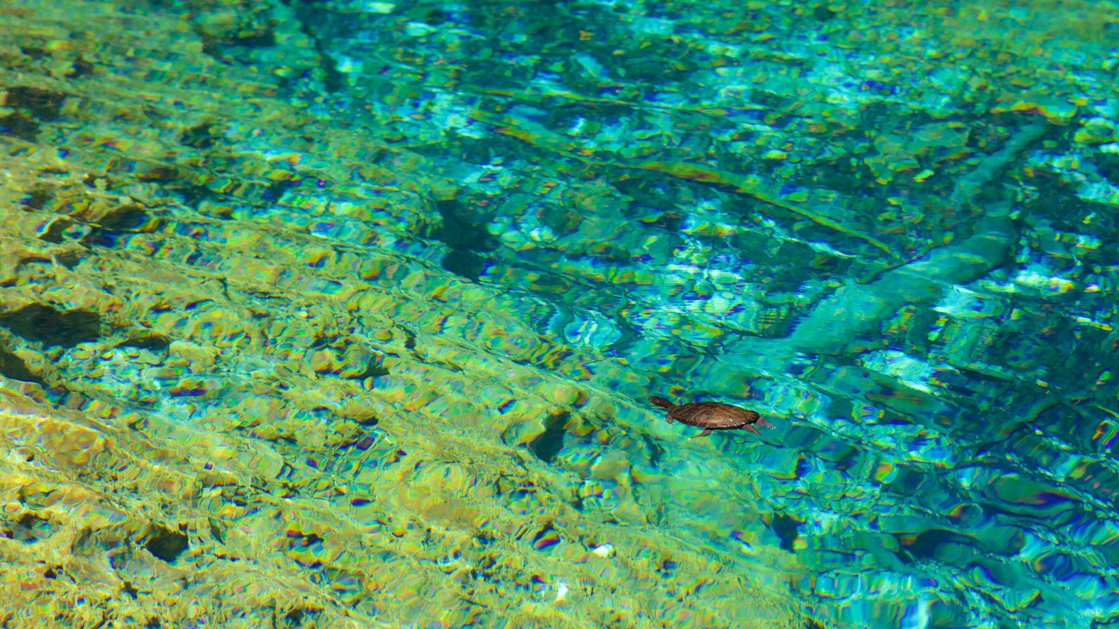 Reserva y Parque Ecológico Ojos Indígenas